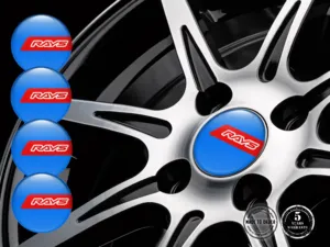 Rays Decalcomania Ruote Logo Cupola Silicone Gara